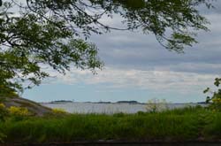 17-06-23_Skan_0568-GAB_3289