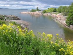 17-06-23_Skan_0571-Le-IMG_7548