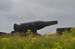 17-06-23_Skan_0575-GAB_3291